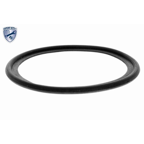 &Ouml;lk&uuml;hler, Motor&ouml;l VEMO V48-60-0028 EXPERT KITS + f&uuml;r LAND ROVER