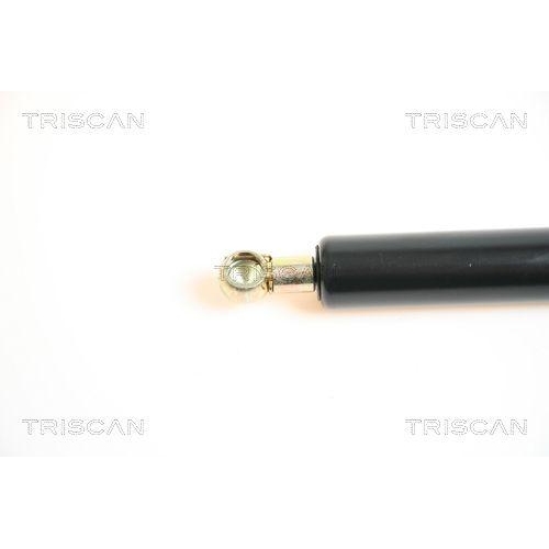 Gasfeder, Koffer-/Laderaum TRISCAN 8710 65208 f&uuml;r SAAB