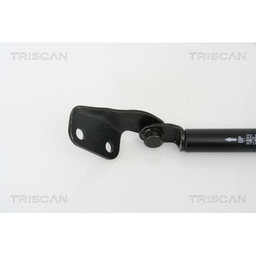 Gasfeder, Koffer-/Laderaum TRISCAN 8710 69217 f&uuml;r SUZUKI, hinten rechts, rechts