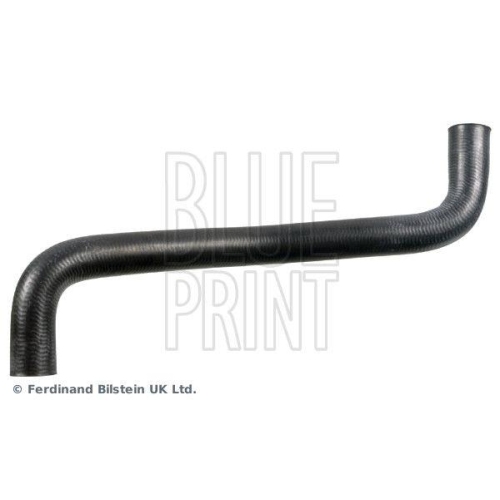 K&uuml;hlerschlauch BLUE PRINT ADBP930018 f&uuml;r NISSAN, unten