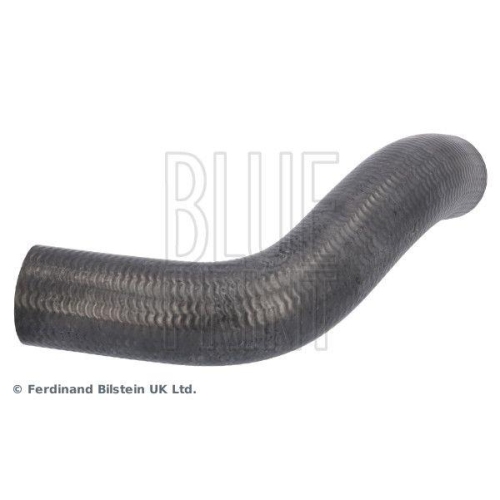 K&uuml;hlerschlauch BLUE PRINT ADBP930020 f&uuml;r SUBARU, unten