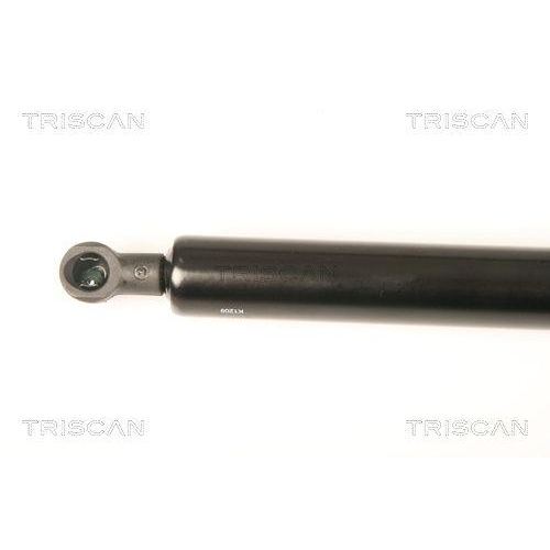 Gasfeder, Koffer-/Laderaum TRISCAN 8710 28238 f&uuml;r PEUGEOT, hinten links