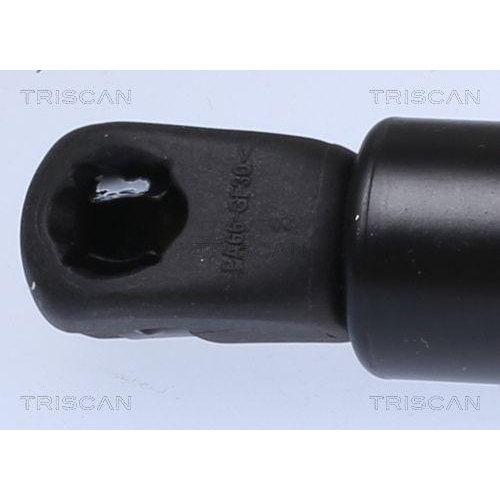 Gasfeder, Koffer-/Laderaum TRISCAN 8710 292066 f&uuml;r