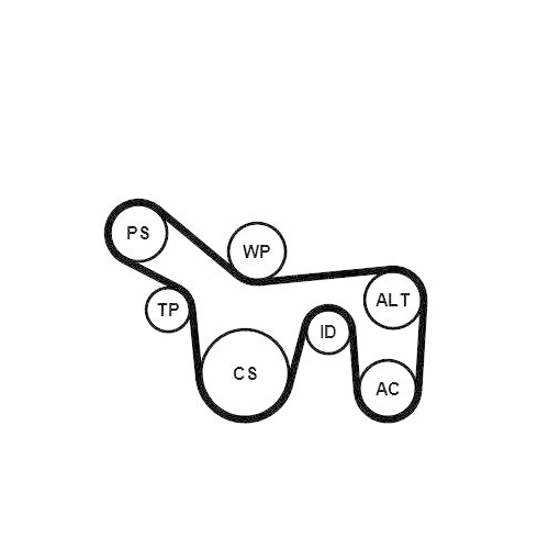 Keilrippenriemensatz CONTINENTAL CTAM 6PK1715K1 für FORD