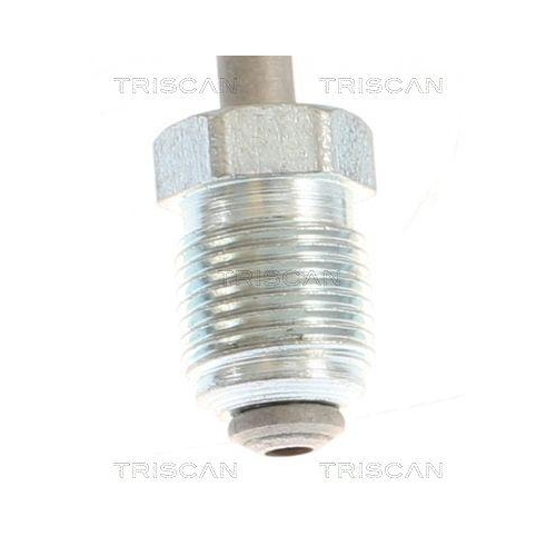 Bremsschlauch TRISCAN 8150 292012 f&uuml;r AUDI SEAT SKODA VW, Hinterachse links