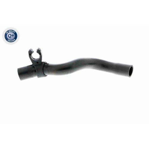 K&uuml;hlerschlauch VAICO V46-0916 Q+, Erstausr&uuml;sterqualit&auml;t f&uuml;r RENAULT