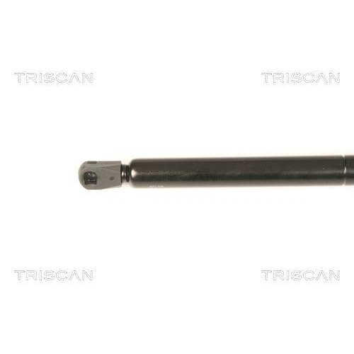 Gasfeder, Koffer-/Laderaum TRISCAN 8710 80203 für CHRYSLER, hinten links