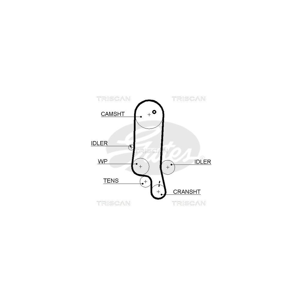 Zahnriemen TRISCAN 8645 5565xs f&uuml;r AUDI SEAT SKODA VW