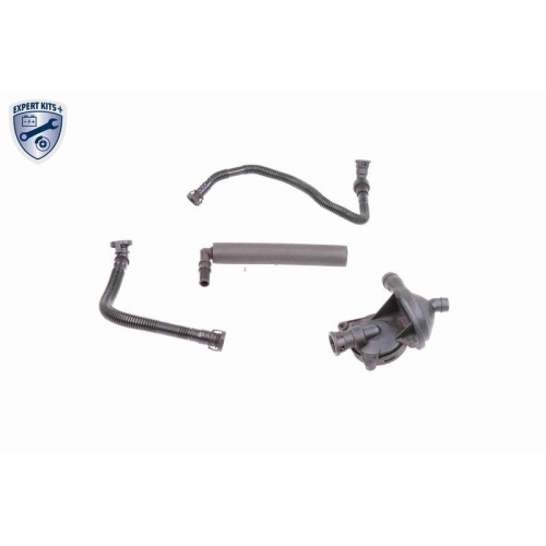 Reparatursatz, Kurbelgeh&auml;useentl&uuml;ftung VAICO V20-1873 EXPERT KITS + f&uuml;r AUDI BMW