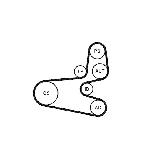 Keilrippenriemensatz CONTINENTAL CTAM 6PK1560K1 f&uuml;r