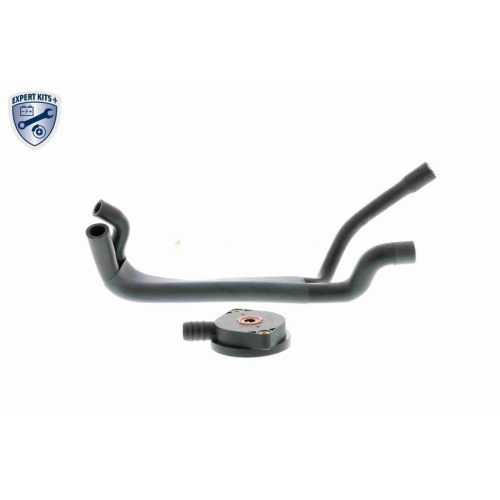 Reparatursatz, Kurbelgeh&auml;useentl&uuml;ftung VAICO V20-1920 EXPERT KITS + f&uuml;r BMW FORD