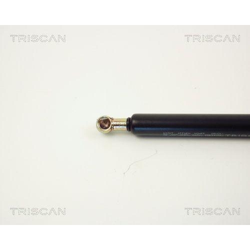 Gasfeder, Koffer-/Laderaum TRISCAN 8710 1009 f&uuml;r AUDI