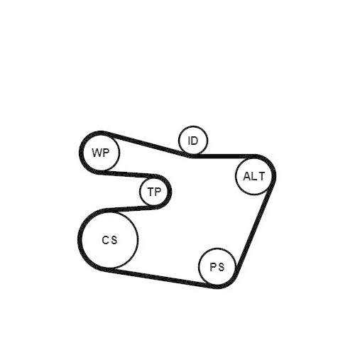 Keilrippenriemensatz CONTINENTAL CTAM 6PK1538K1 f&uuml;r