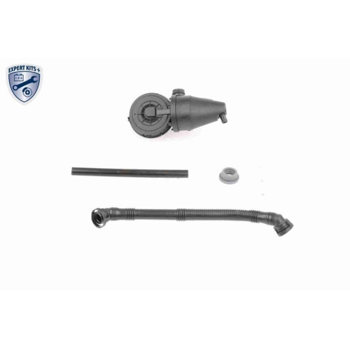 Reparatursatz, Kurbelgeh&auml;useentl&uuml;ftung VAICO V20-2096 EXPERT KITS + f&uuml;r BMW VAG