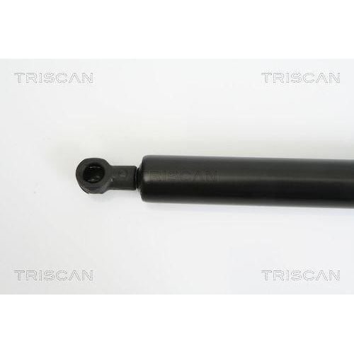 Gasfeder, Koffer-/Laderaum TRISCAN 8710 10210 f&uuml;r CITRO&Euml;N OPEL PEUGEOT VAUXHALL