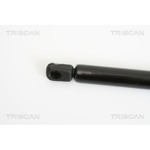Gasfeder, Koffer-/Laderaum TRISCAN 8710 18213 f&uuml;r KIA
