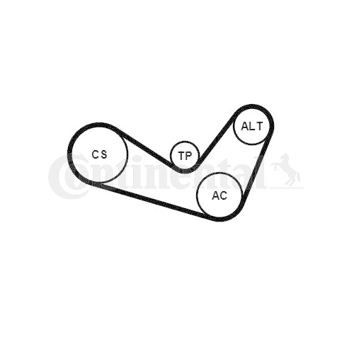 Keilrippenriemensatz CONTINENTAL CTAM 6PK1050K2 f&uuml;r