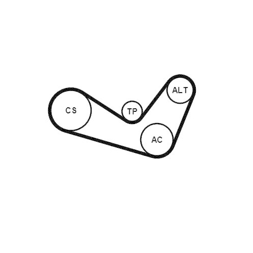 Keilrippenriemensatz CONTINENTAL CTAM 6PK1050K1 f&uuml;r