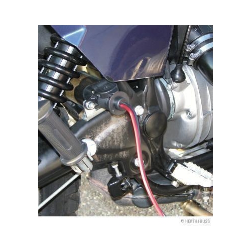 Steckdose HERTH+BUSS ELPARTS 51305135 für AEBI VAN HOOL JAEGER CLAAS DEUTZ-FAHR