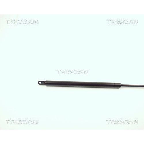Gasfeder, Koffer-/Laderaum TRISCAN 8710 2903 f&uuml;r VW