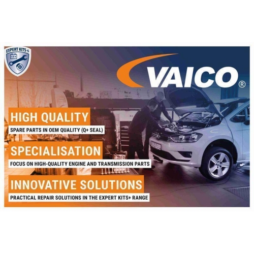 Fensterheber VAICO V10-9806 Original VAICO Qualität für AUDI SEAT SKODA VW VAG