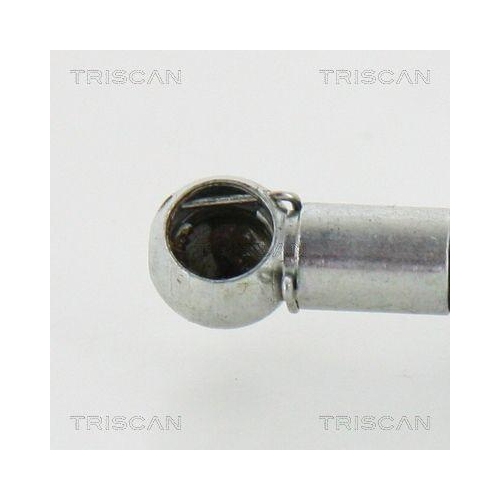 Gasfeder, Koffer-/Laderaum TRISCAN 8710 42233 f&uuml;r MITSUBISHI, hinten links