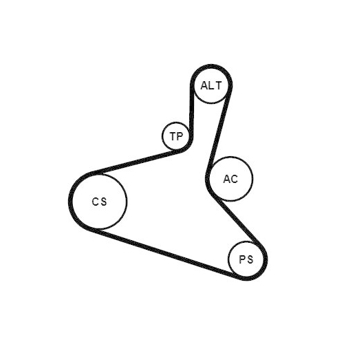 Keilrippenriemensatz CONTINENTAL CTAM 6DPK1195K1 für