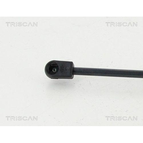 Gasfeder, Koffer-/Laderaum TRISCAN 8710 112004 für BMW, hinten links