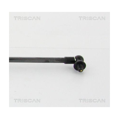Gasfeder, Koffer-/Laderaum TRISCAN 8710 42242 f&uuml;r MITSUBISHI