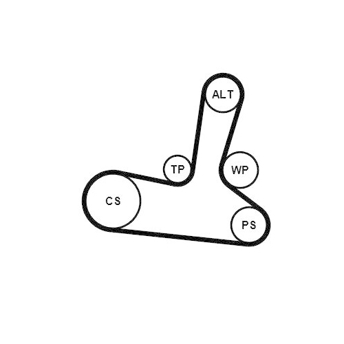 Keilrippenriemensatz CONTINENTAL CTAM 5PK1300K1 f&uuml;r
