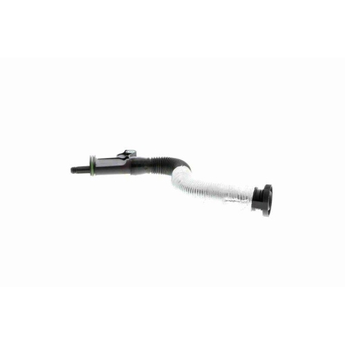 Schlauch, Kurbelgeh&auml;useentl&uuml;ftung VAICO V10-3879 Original VAICO Qualit&auml;t f&uuml;r VW