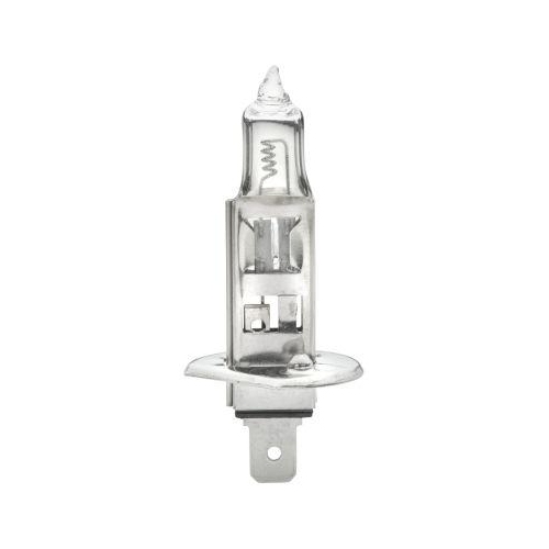 HELLA Glühlampe 8GH 002 089-251 HEAVY DUTY für AEBI AUDI AUWÄRTER DAF FRUEHAUF