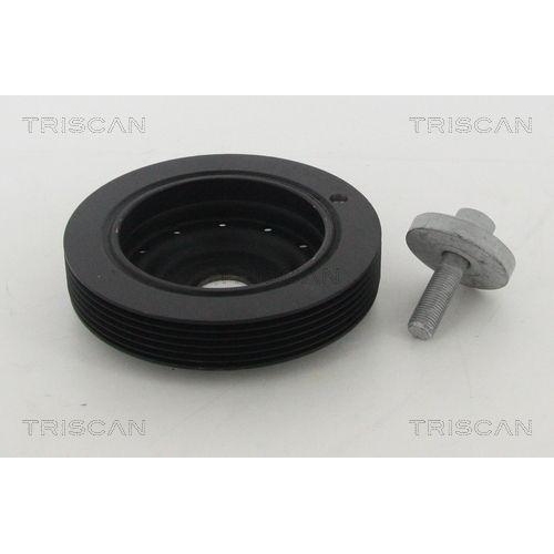 Riemenscheibe, Kurbelwelle TRISCAN 8643 25010a f&uuml;r RENAULT