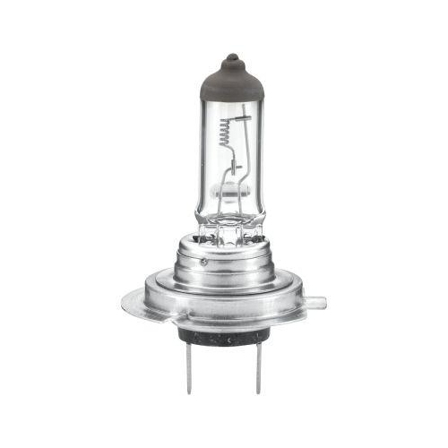HELLA Gl&uuml;hlampe 8GH 007 157-241 HEAVY DUTY f&uuml;r AEBI AUW&Auml;RTER DAF FORD K&Auml;SSBOHRER