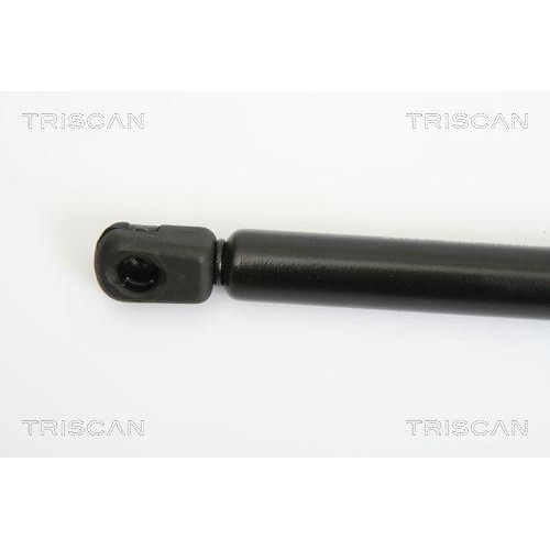 Gasfeder, Motorhaube TRISCAN 8710 29125 f&uuml;r VW, vorne rechts