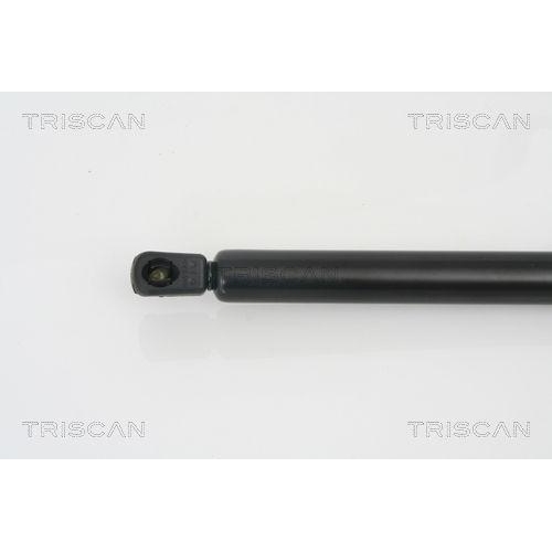 Gasfeder, Koffer-/Laderaum TRISCAN 8710 29253 f&uuml;r VW, hinten links