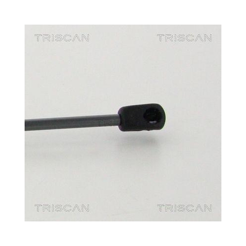 Gasfeder, Koffer-/Laderaum TRISCAN 8710 25274 f&uuml;r LANCIA, hinten links