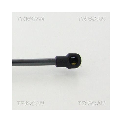 Gasfeder, Heckscheibe TRISCAN 8710 25275 f&uuml;r RENAULT, links, rechts