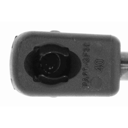 Gasfeder, Koffer-/Laderaum VAICO V10-1948 Original VAICO Qualität für AUDI SEAT