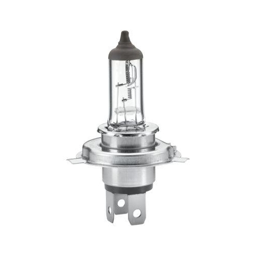 HELLA Glühlampe 8GJ 002 525-251 HEAVY DUTY für AEBI AUWÄRTER DAF MACK MAN TOYOTA