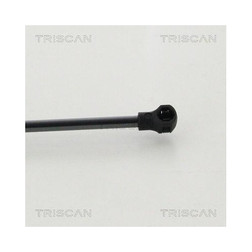 Gasfeder, Koffer-/Laderaum TRISCAN 8710 25276 f&uuml;r RENAULT, hinten links