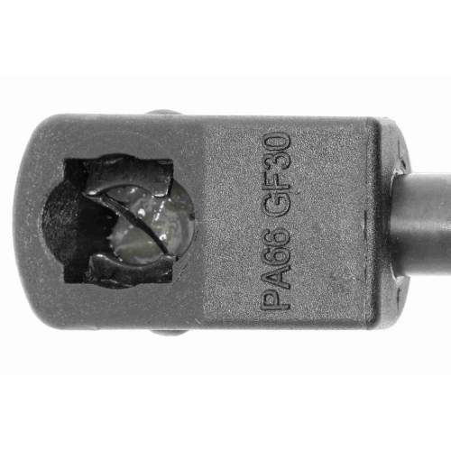 Gasfeder, Motorhaube VAICO V10-1949 Original VAICO Qualität für SEAT SKODA VW