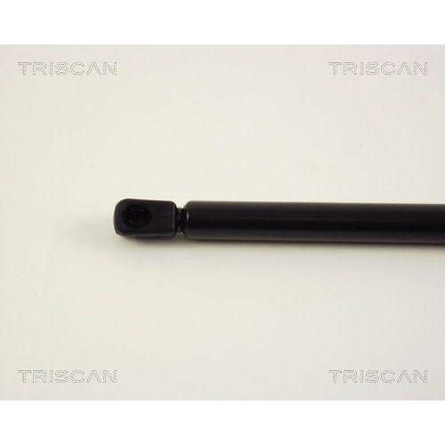Gasfeder, Koffer-/Laderaum TRISCAN 8710 29256 f&uuml;r