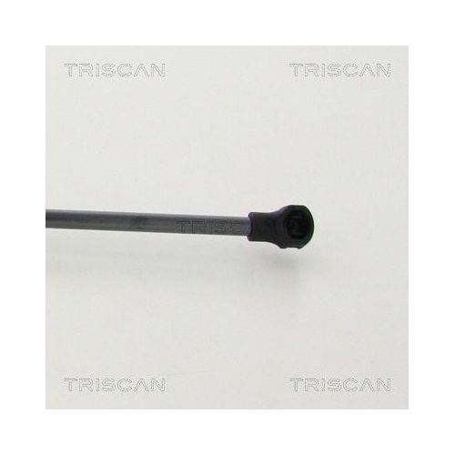 Gasfeder, Koffer-/Laderaum TRISCAN 8710 25277 f&uuml;r RENAULT, hinten links
