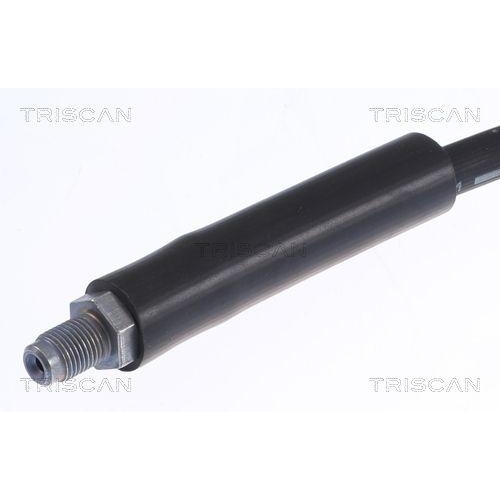 Bremsschlauch TRISCAN 8150 25121 f&uuml;r RENAULT, Vorderachse beidseitig