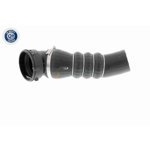 Ladeluftschlauch VAICO V20-1626 Q+, Erstausr&uuml;sterqualit&auml;t f&uuml;r BMW