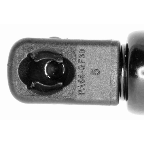 Gasfeder, Koffer-/Laderaum VAICO V10-1953 Original VAICO Qualit&auml;t f&uuml;r AUDI SEAT