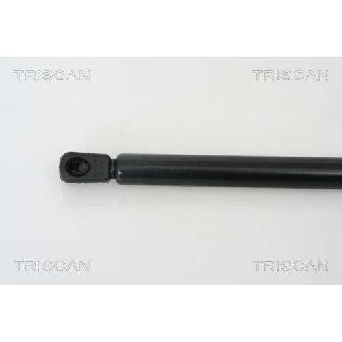 Gasfeder, Koffer-/Laderaum TRISCAN 8710 29260 für AUDI SEAT, hinten links