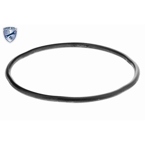 Geh&auml;use, Kraftstofffilter VAICO V22-0746 EXPERT KITS + f&uuml;r CITRO&Euml;N FIAT PEUGEOT