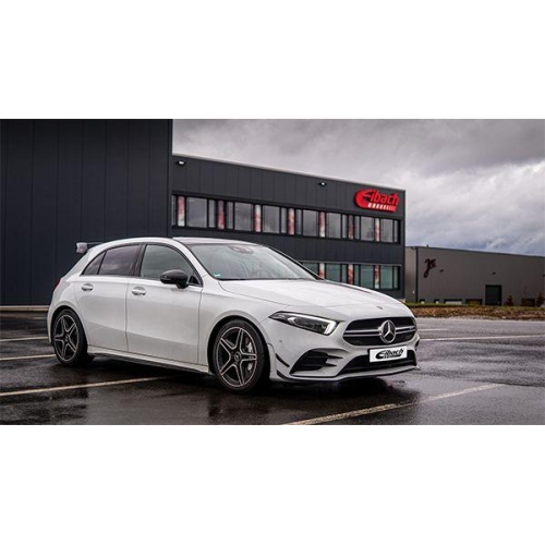 Fahrwerkssatz, Federn EIBACH E10-25-043-06-22 Pro-Kit f&uuml;r, Hinterachse